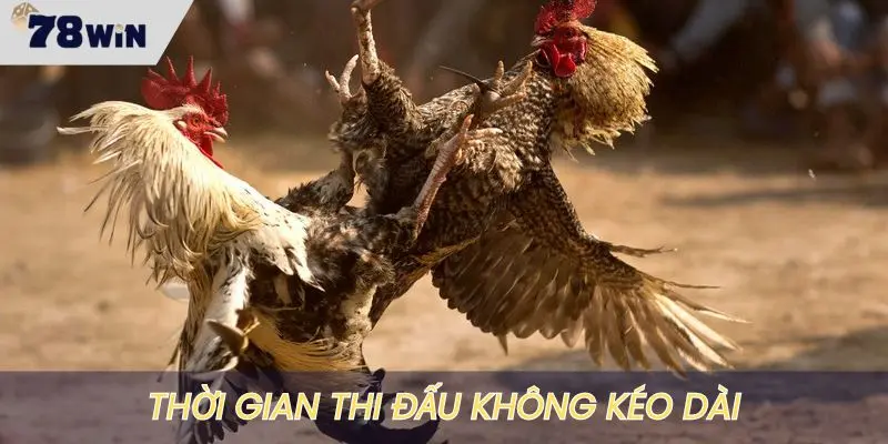 Thời gian thi đấu nhanh, không bị kéo dài